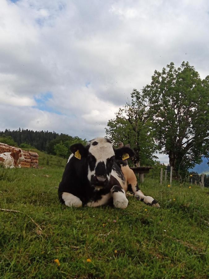 Haus Schwarzeck Leilighet Ramsau bei Berchtesgaden Eksteriør bilde